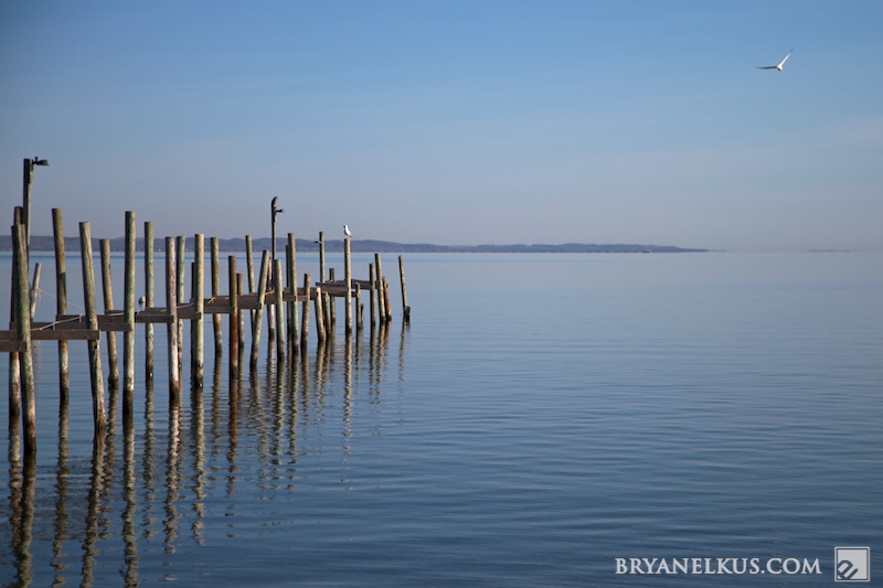 BRYANELKUS_278790