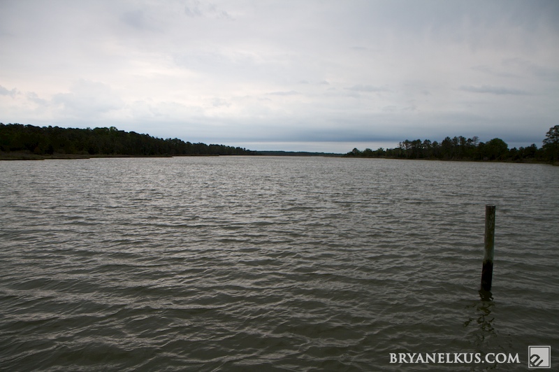 BRYANELKUS_279168