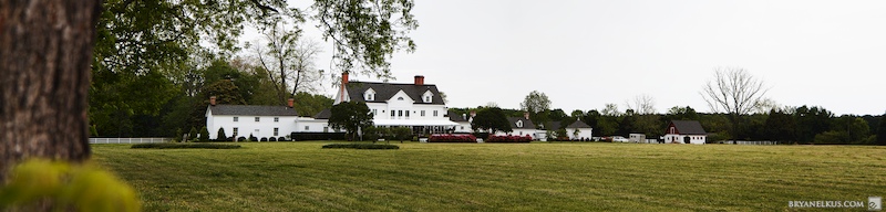 BRYANELKUS_279180b