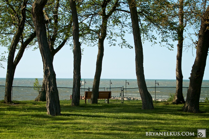 BRYANELKUS_282073