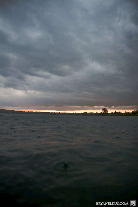BRYANELKUS_283611