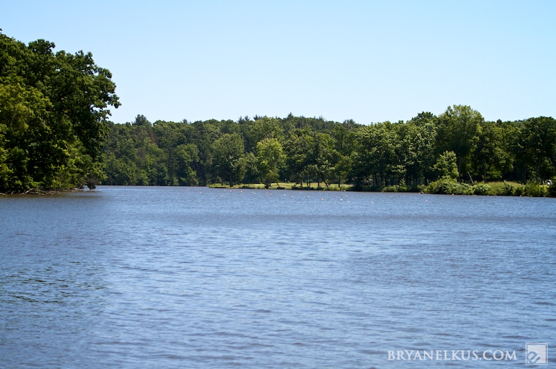 BRYANELKUS_301844