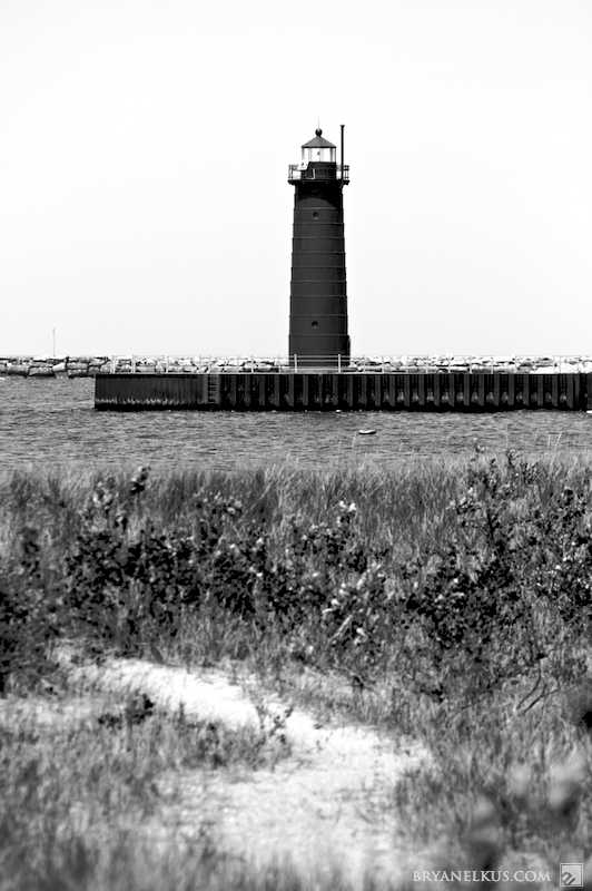 BRYANELKUS_303572
