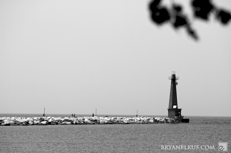 BRYANELKUS_303578