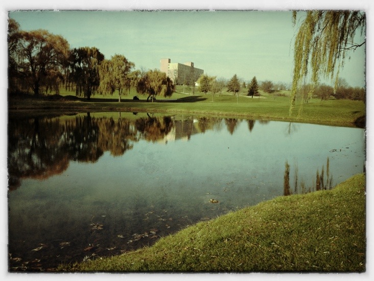 20121117-170519.jpg