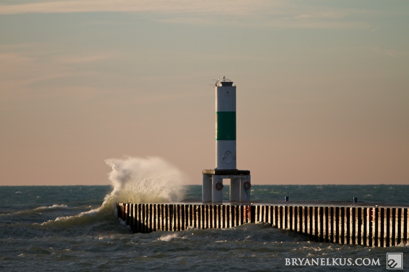 BRYANELKUS_309242