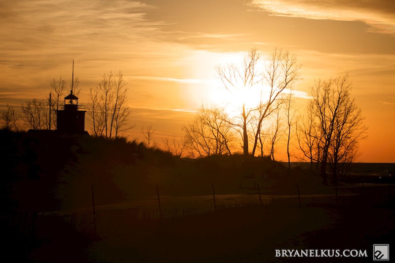 BRYANELKUS_309338