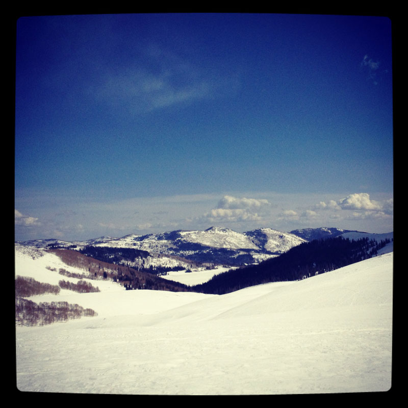 Photo-Mar-17,-10-01-02-AM