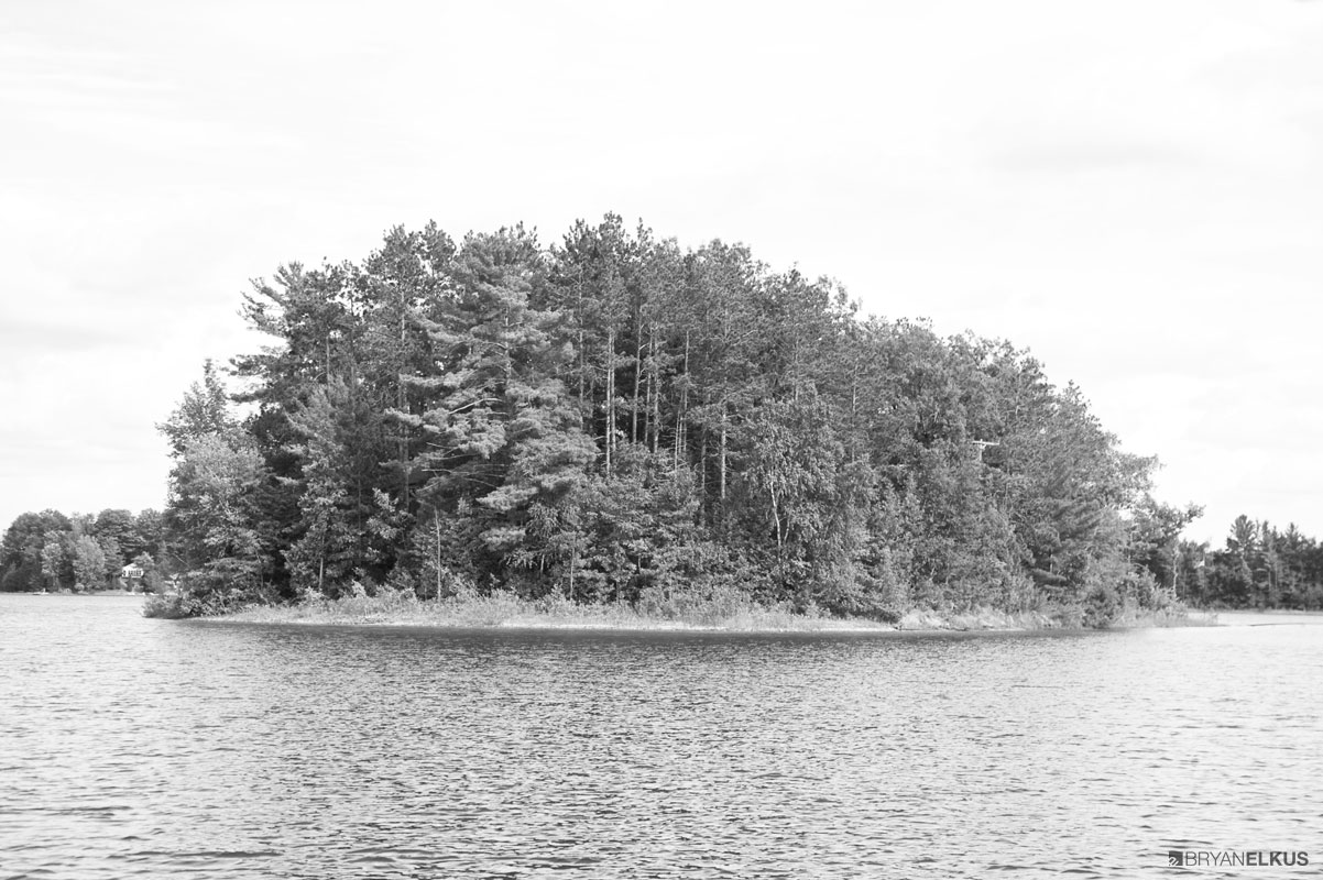 BRYANELKUS_335991