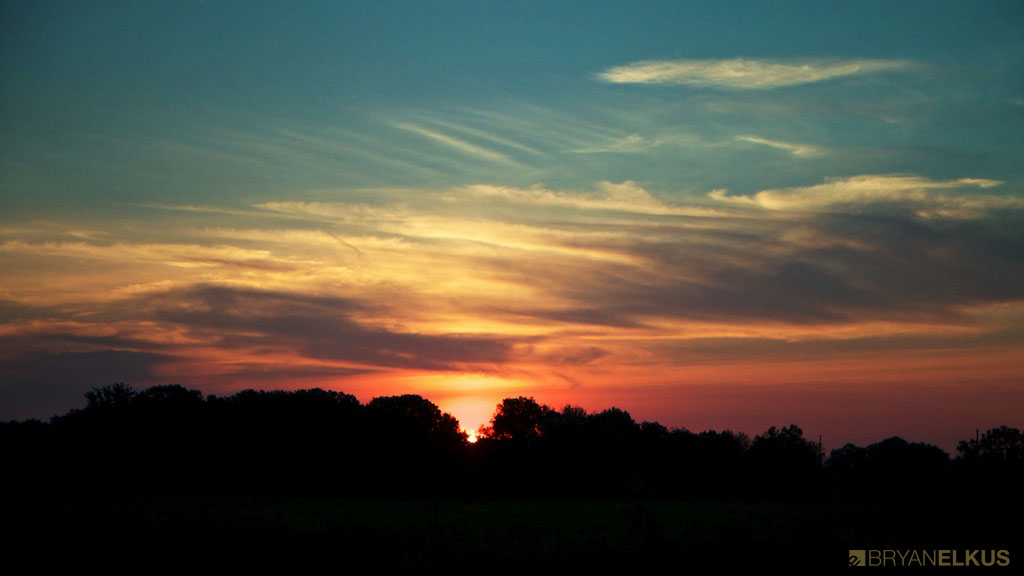02_BRYANELKUS_346088