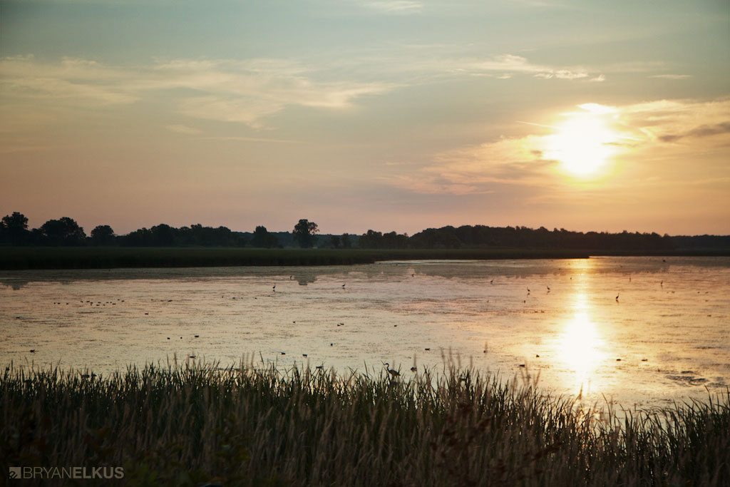 03_BRYANELKUS_346107