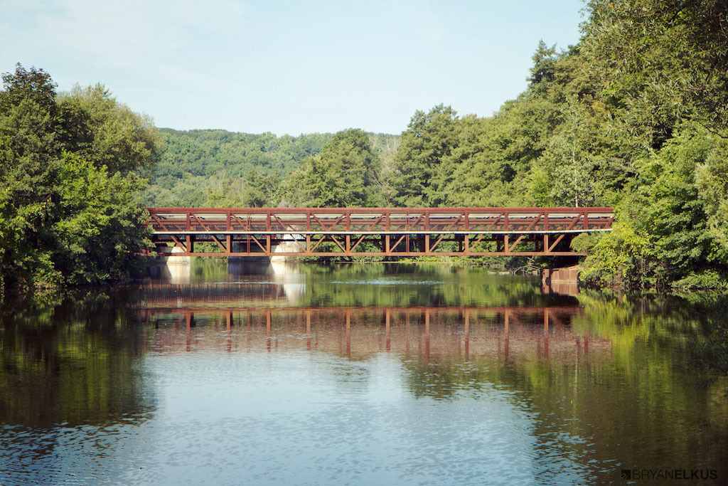 BRYANELKUS_341869