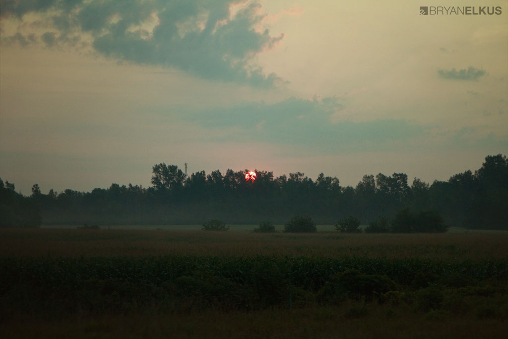 BRYANELKUS_342633