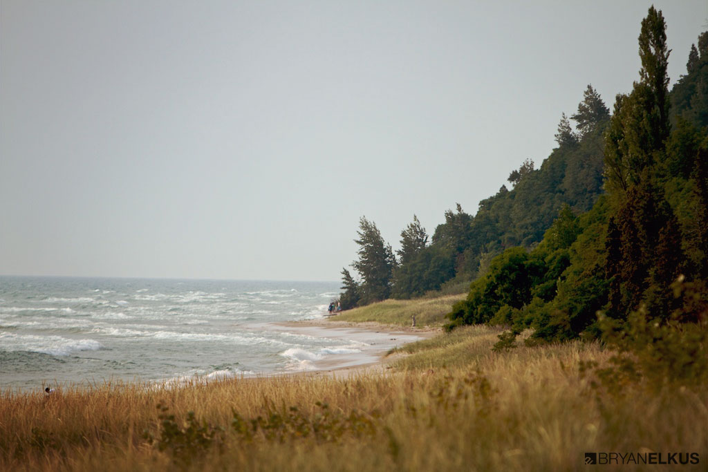 BRYANELKUS_345129