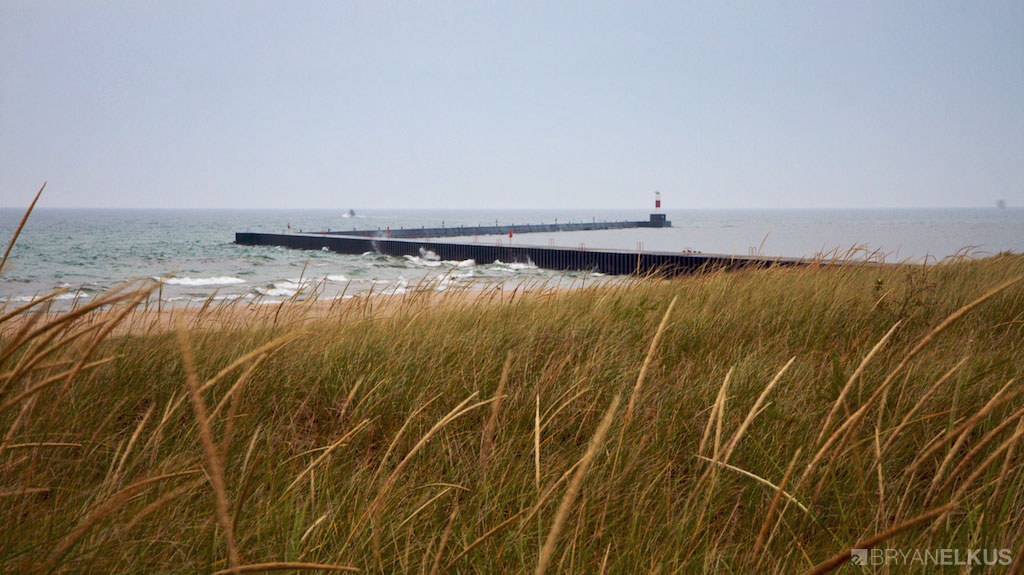 BRYANELKUS_346225