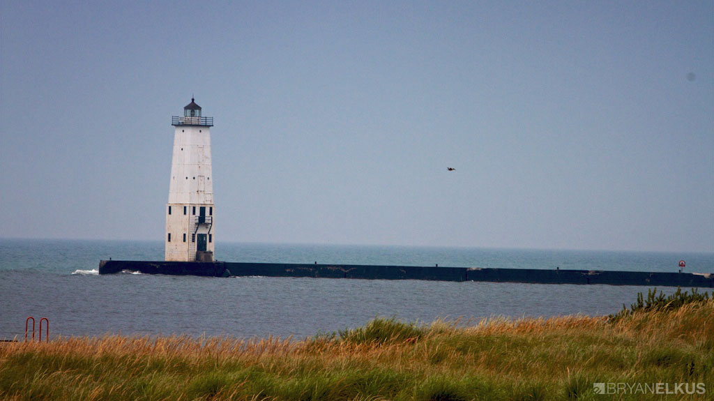 BRYANELKUS_346252