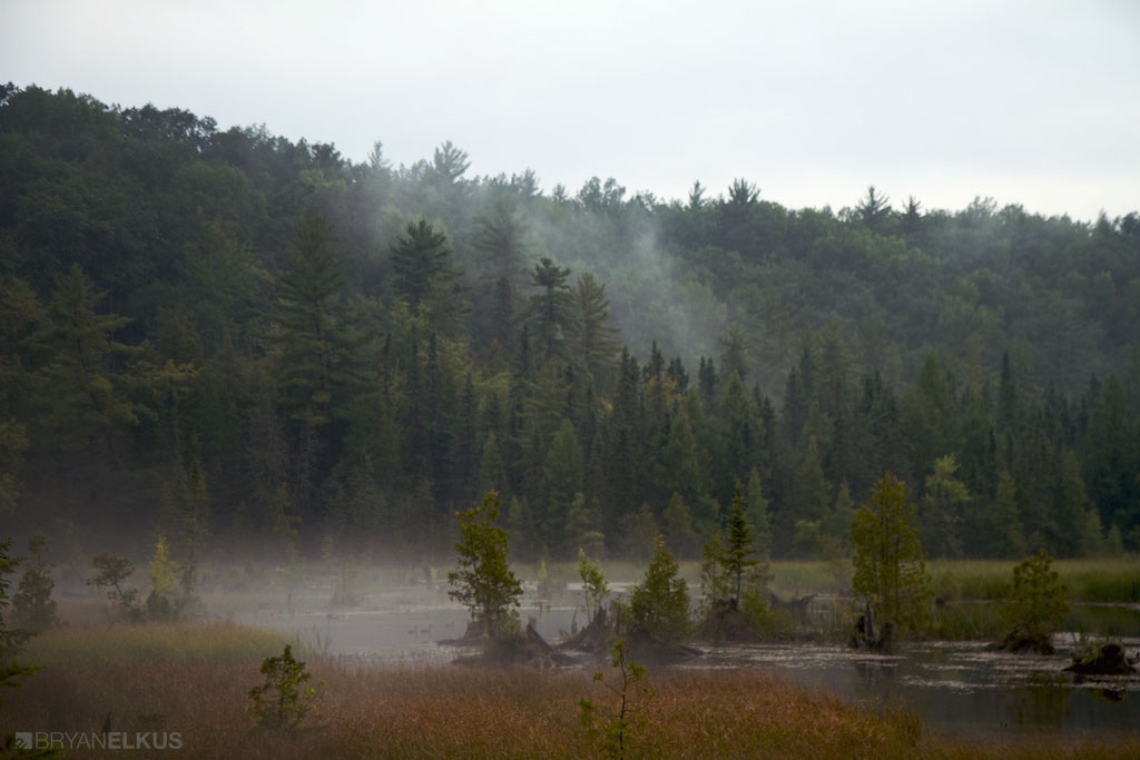 20_BRYANELKUS_348532