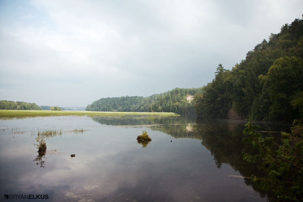 24_BRYANELKUS_348567