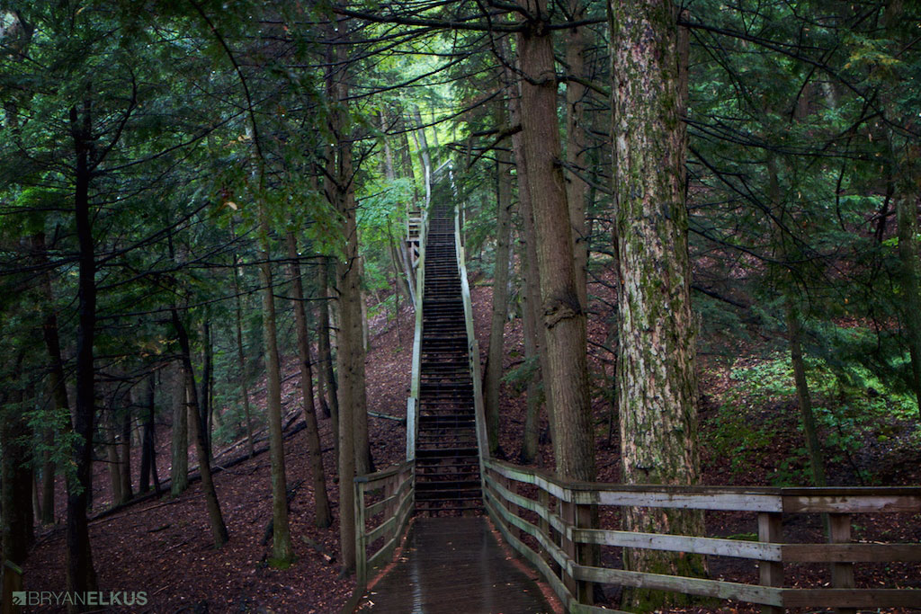 25_BRYANELKUS_348562