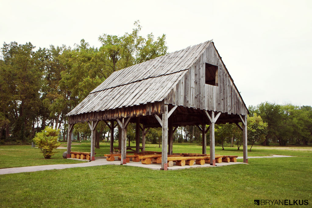 BRYANELKUS_353821