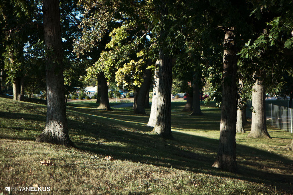 BRYANELKUS_355038