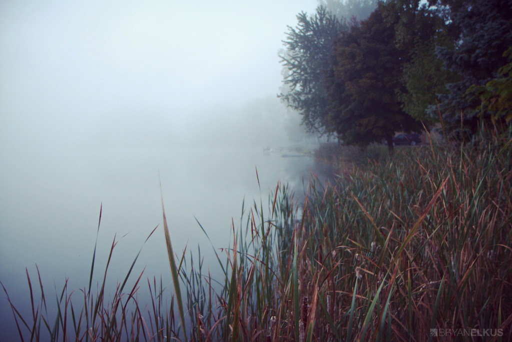 BRYANELKUS_362618
