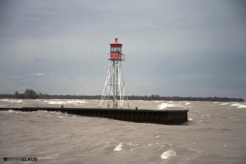 BRYANELKUS_367745