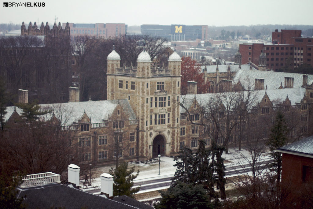 BRYANELKUS_378462
