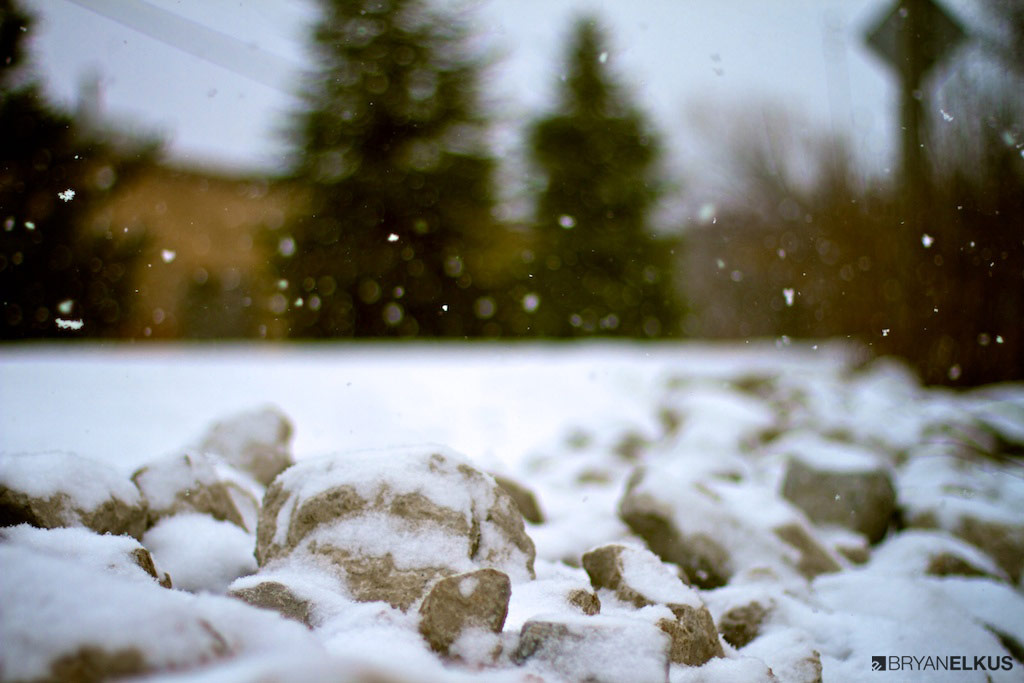 BRYANELKUS_379016