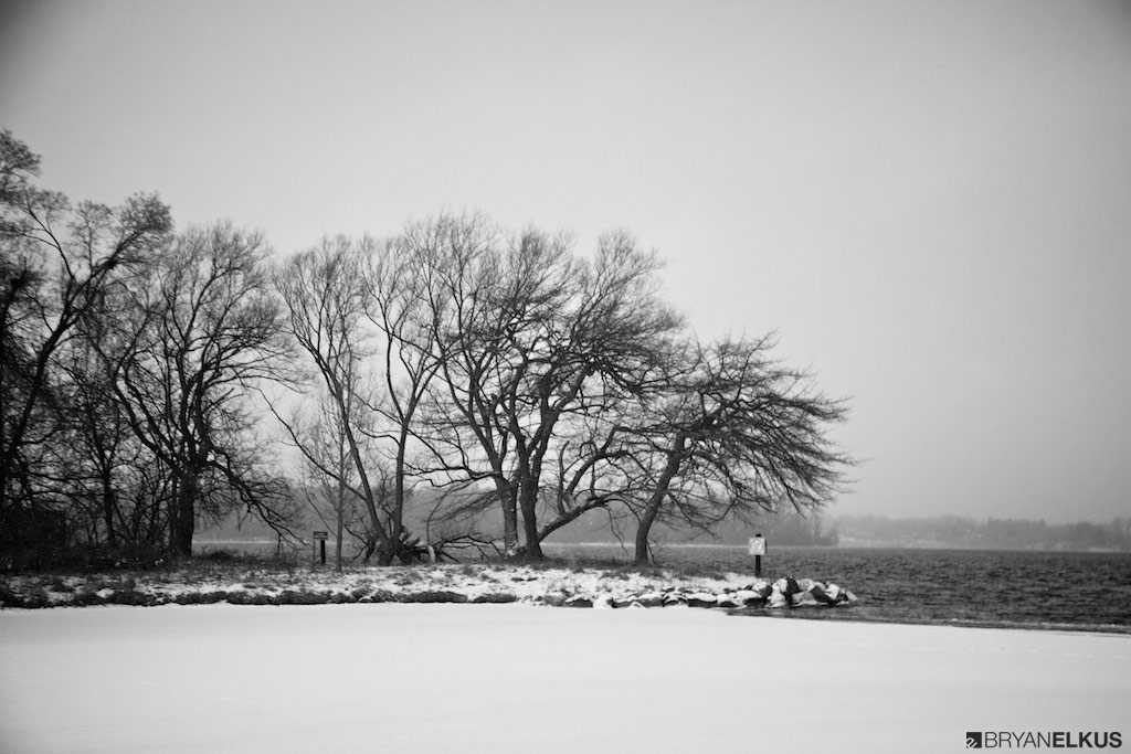 BRYANELKUS_379185
