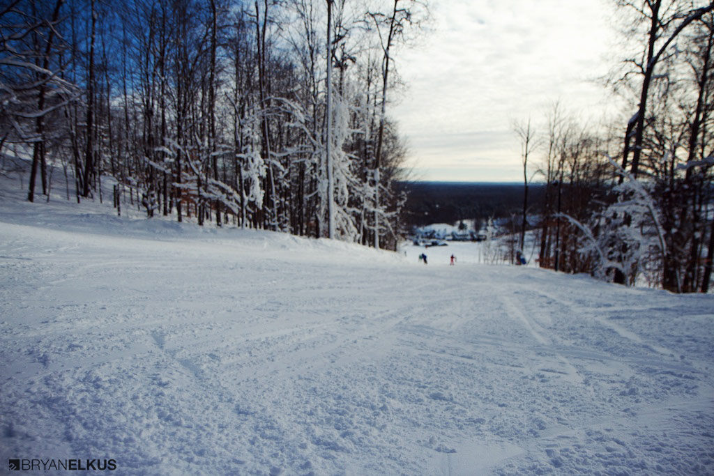 BRYANELKUS_379421