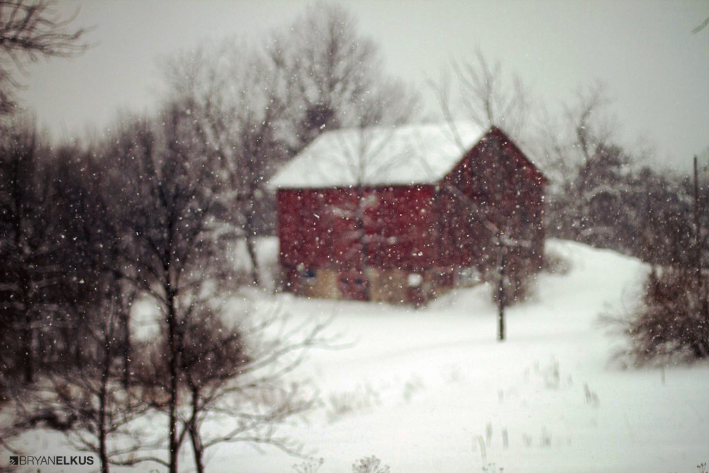 BRYANELKUS_381734