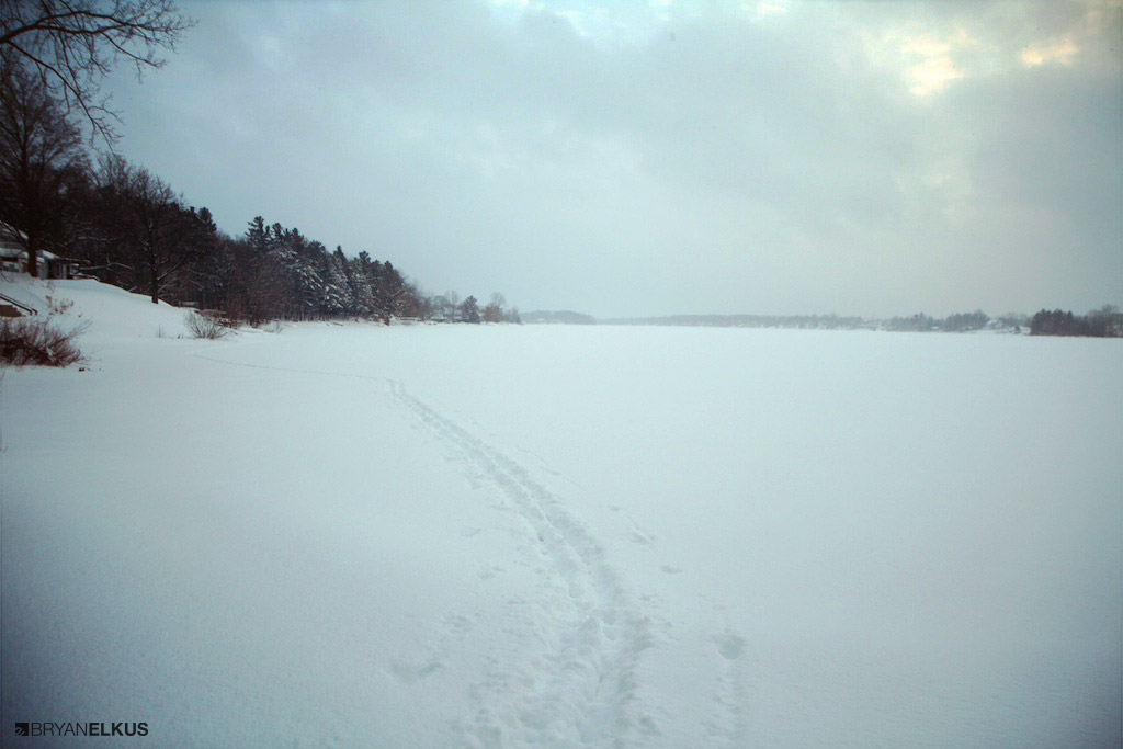 BRYANELKUS_382052