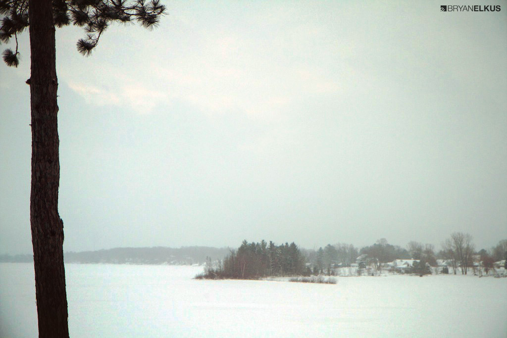 BRYANELKUS_382088