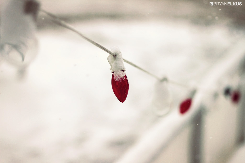 03_BRYANELKUS_401633