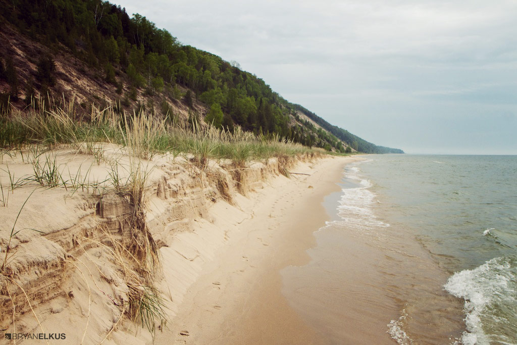 08_BRYANELKUS_427196