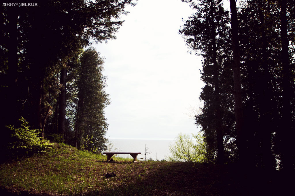 12_BRYANELKUS_427246