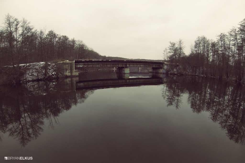 BRYANELKUS_499485