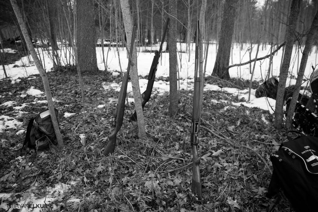 17_BRYANELKUS_521487