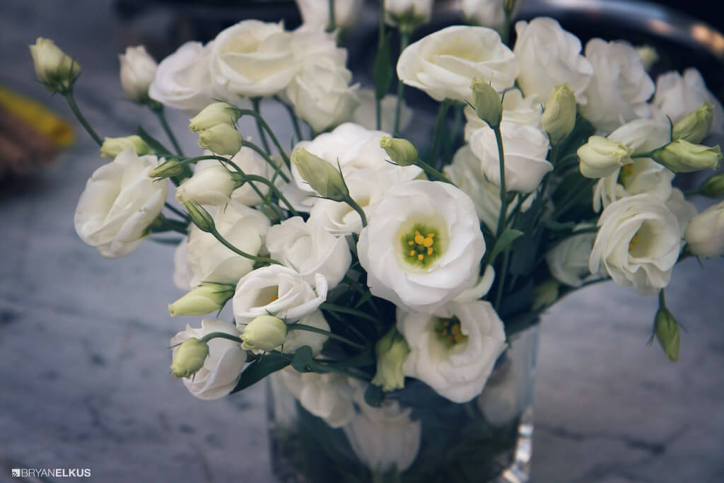 03_BRYANELKUS_545044