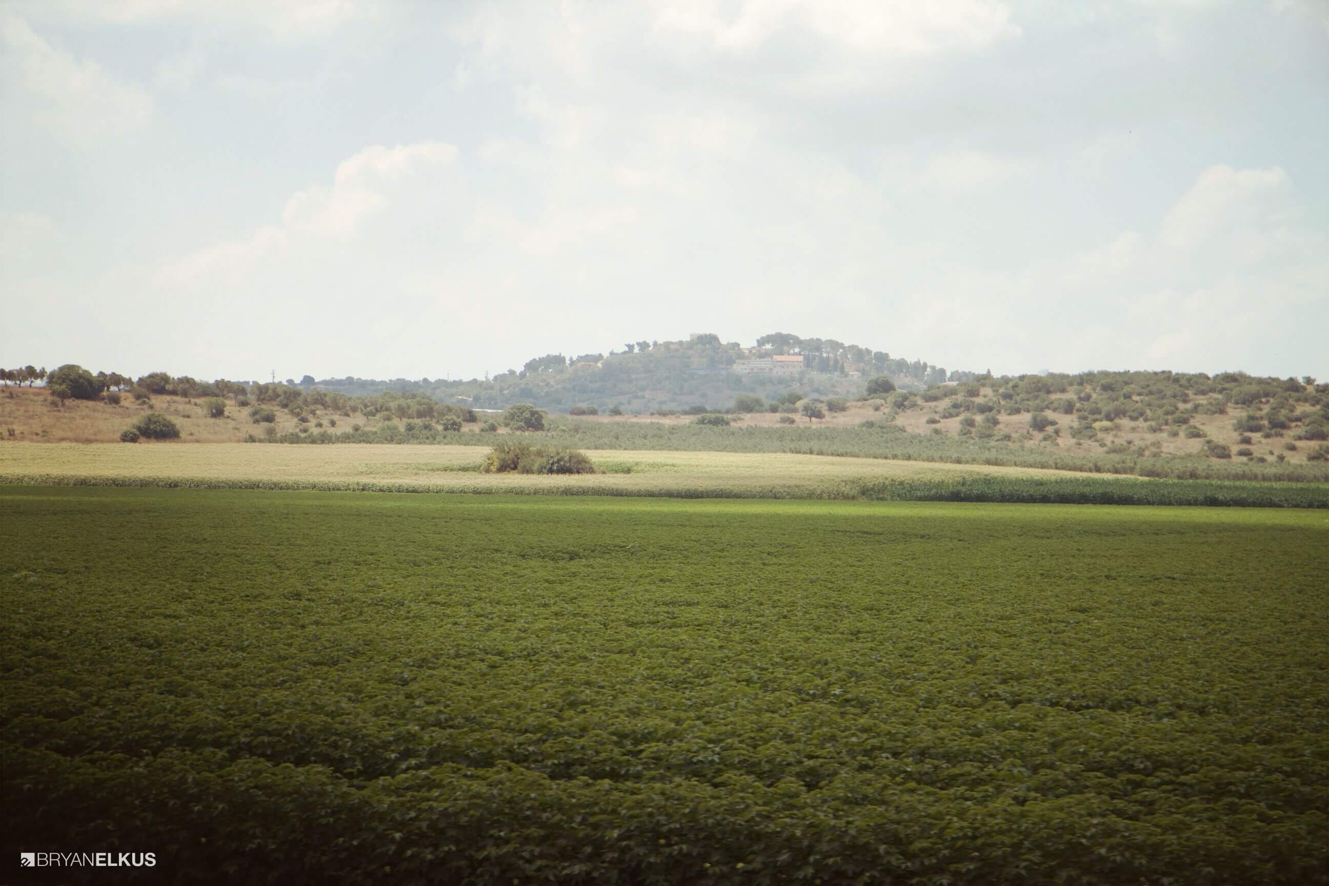05_BRYANELKUS_541934