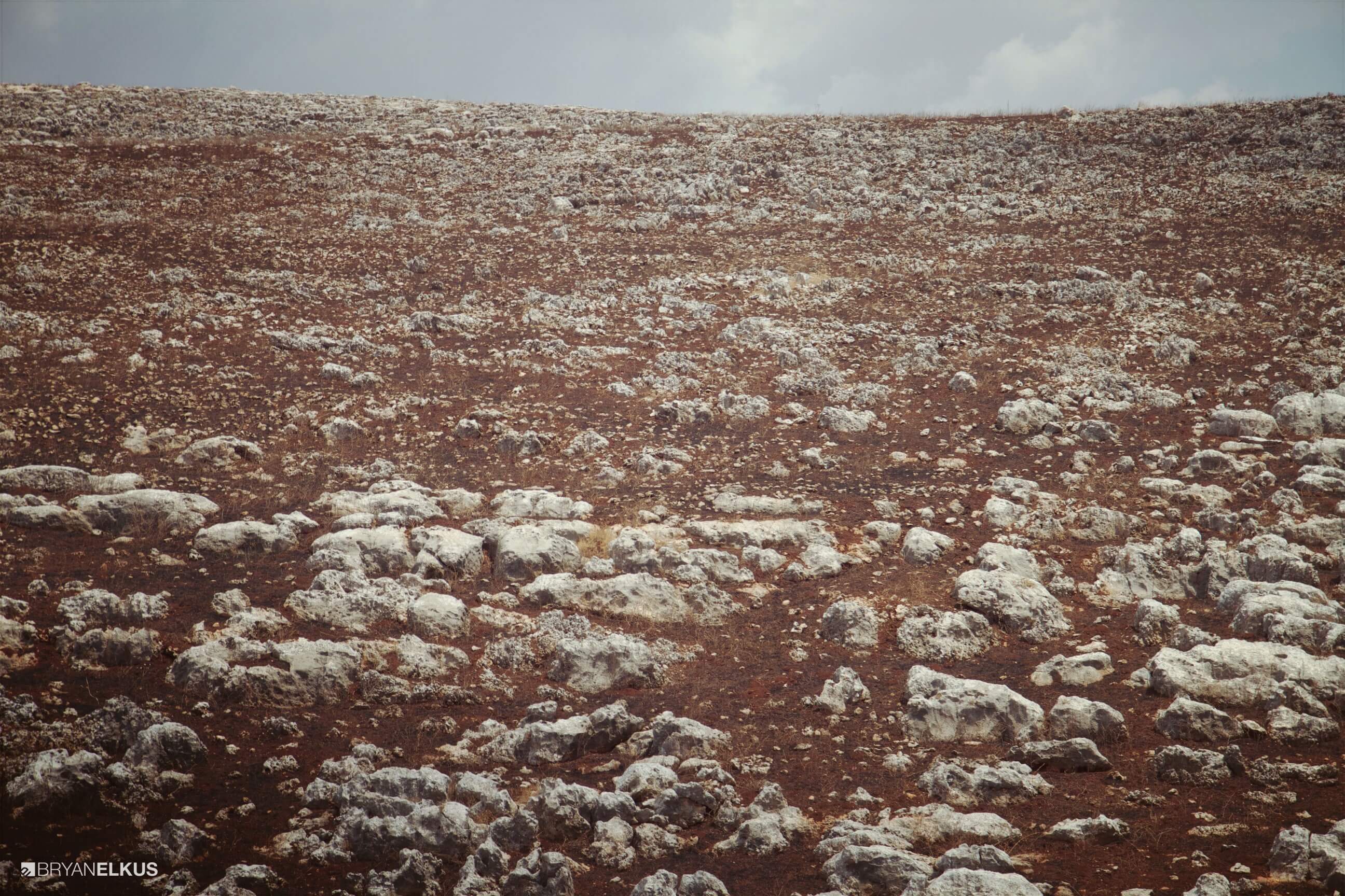 07_BRYANELKUS_541992