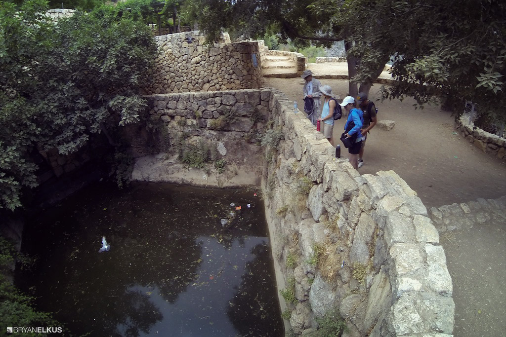 17_BRYANELKUS_539608