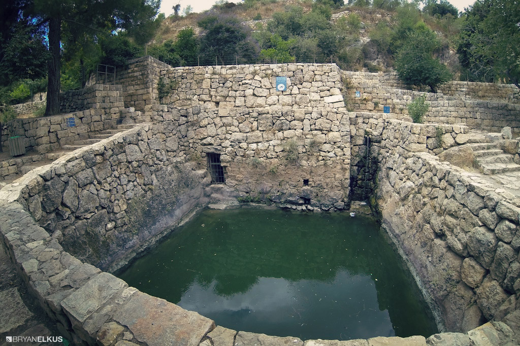 18_BRYANELKUS_539538