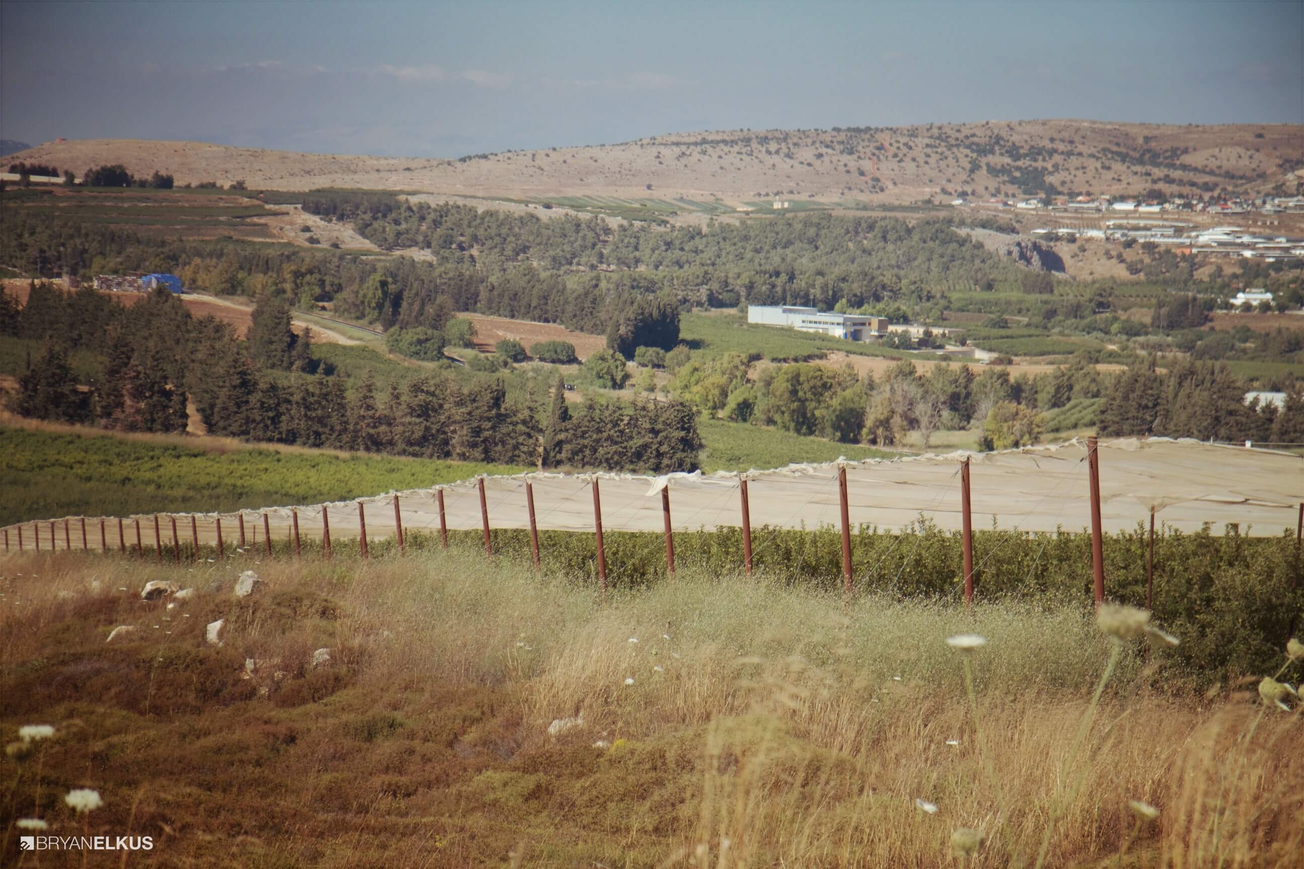 40_BRYANELKUS_542338