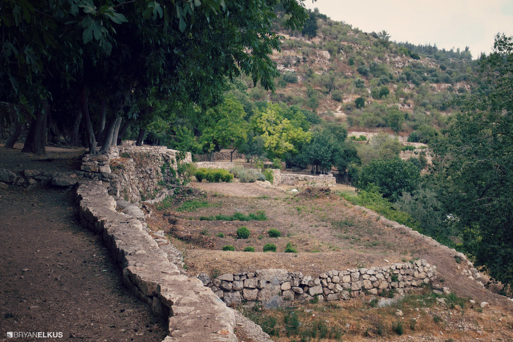 BRYANELKUS_538748