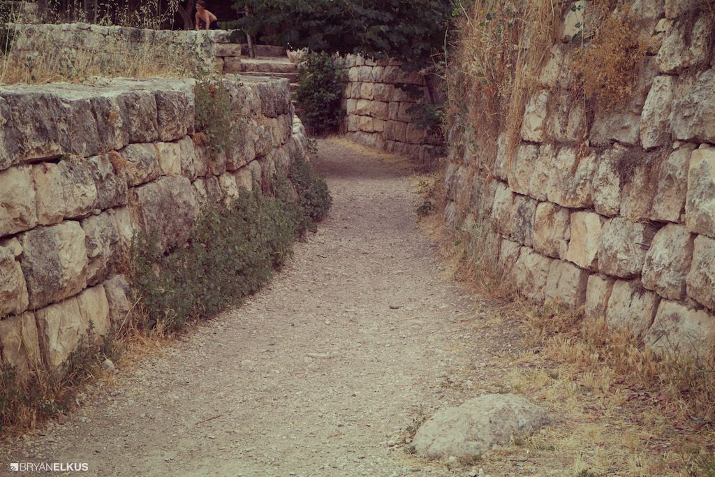 BRYANELKUS_538849