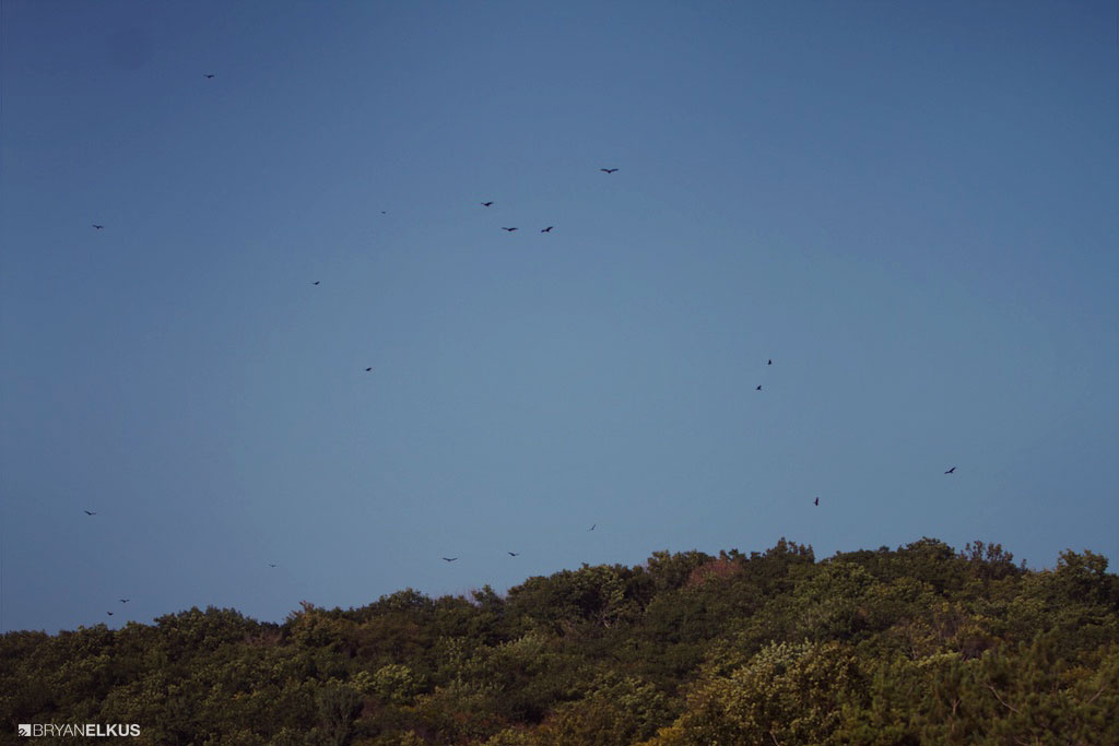 04_BRYANELKUS_581871
