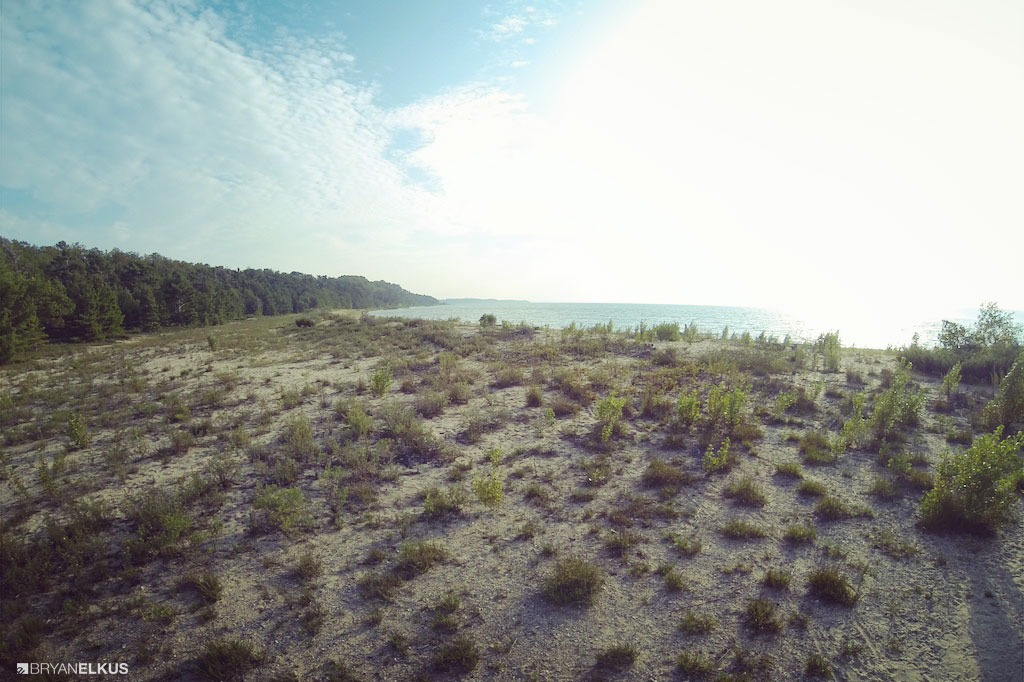 BRYANELKUS_581637