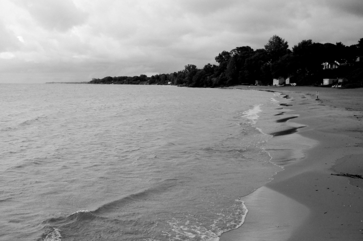 00_BRYANELKUS_590859